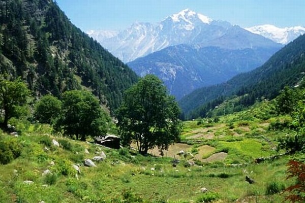 The Great Himalayan National Park of Himachal Pradesh