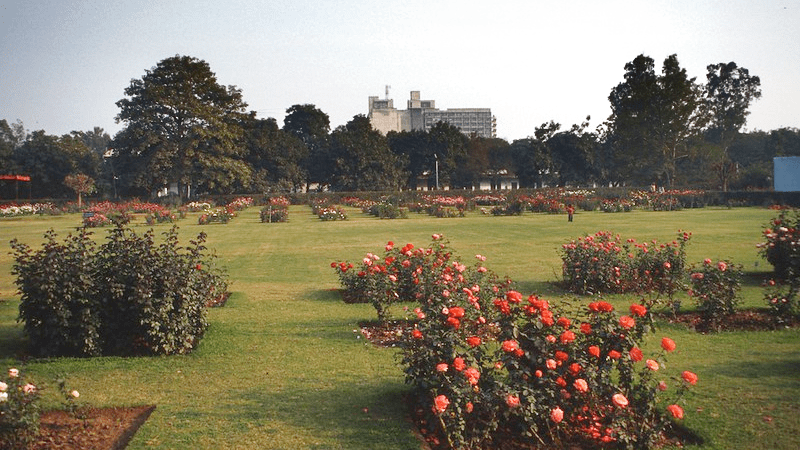 Most Stunning & One of the best couple parks in Delhi | Romantic Parks