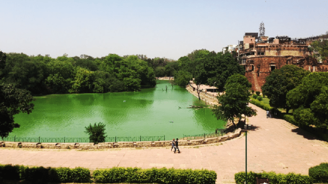 Famous Parks in Delhi, Parks nearby me? - Trend Around Us