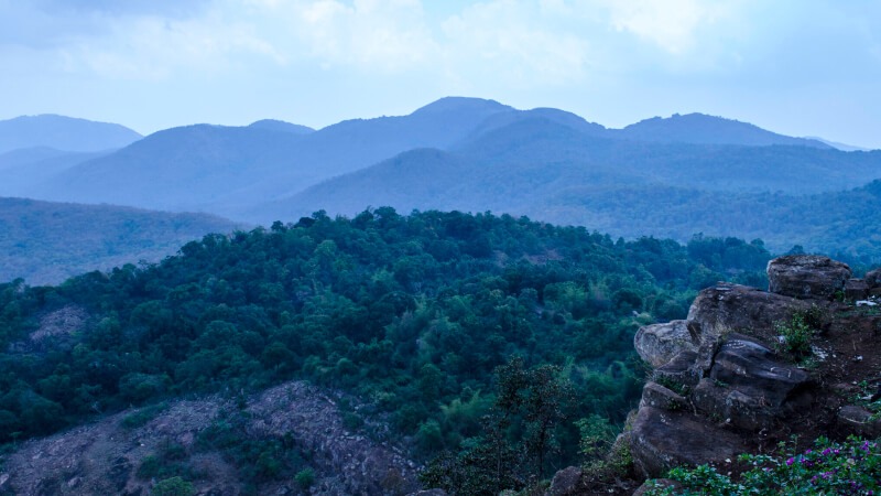 Biligiri Hills Heavenly Hills | places to visit in karnataka for weekend