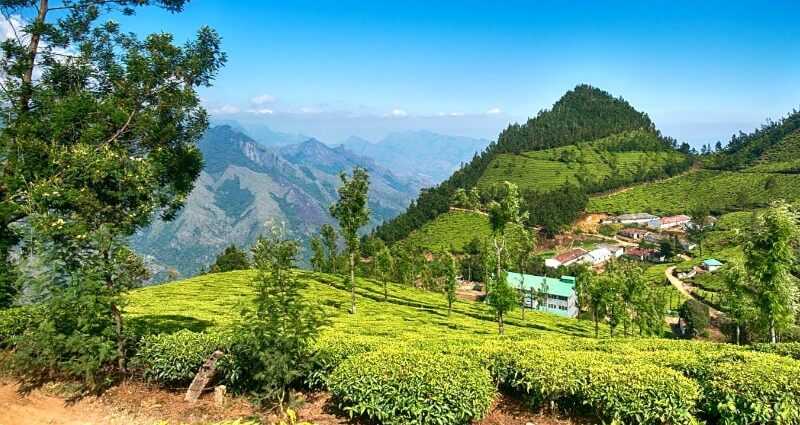 Best Hill Stations Near Bangalore That One Must Visit In a Lifetime