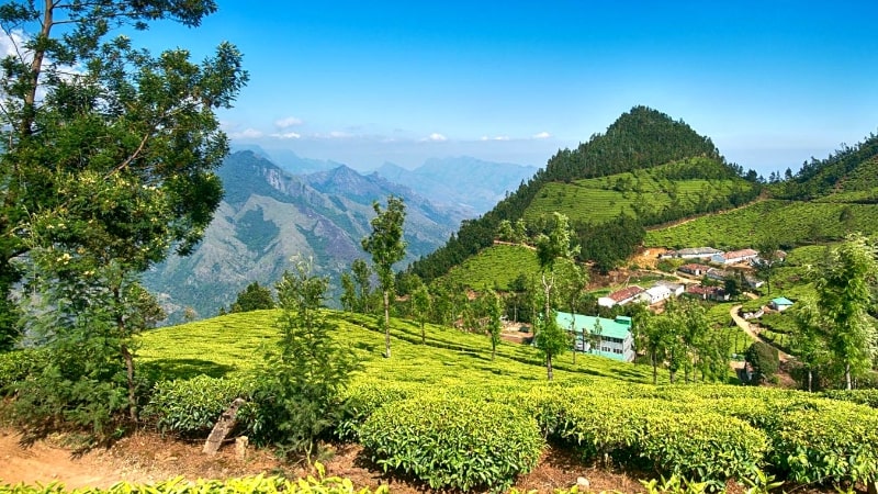 Best Hill Stations Near Bangalore That One Must Visit In a Lifetime