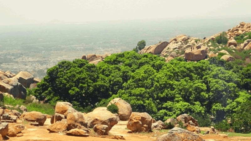 Places to visit near Bangalore within 100 Km