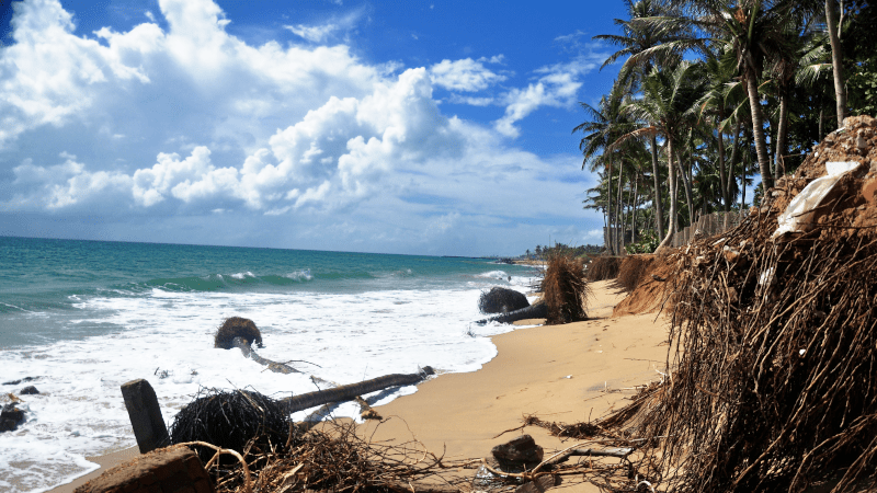 famous beaches to visit in Pondicherry
