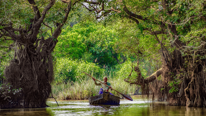 Sundarban Tour Package