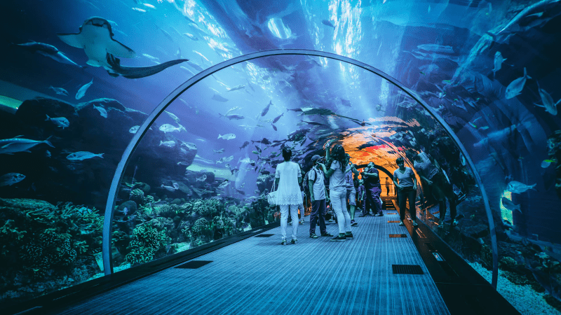 Places To Visit In Dubai with family For Free