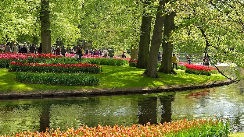 Keukenhof Garden