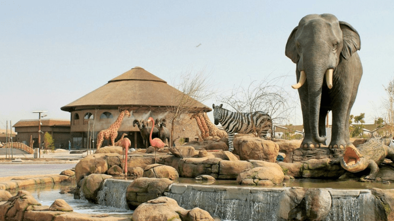 Places to visit in Dubai with Family