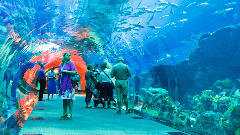 Dubai Aquarium