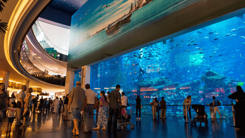 Dubai Aquarium and Underwater Zoo