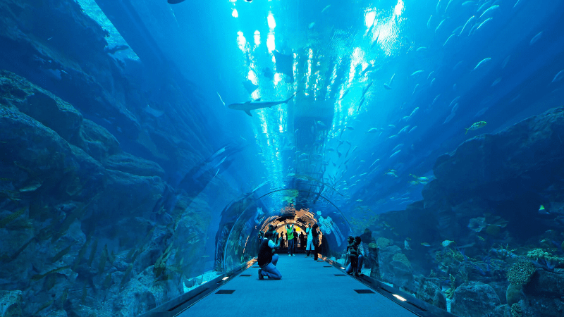 Dubai Aquarium and Underwater Zoo