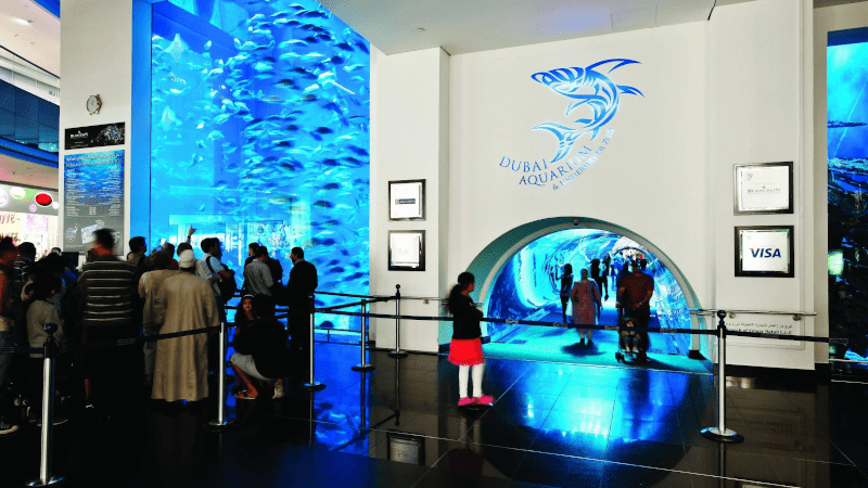 dubai aquarium & underwater zoo tickets
