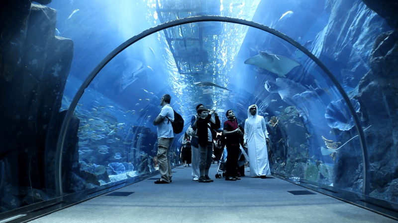 dubai aquarium location
