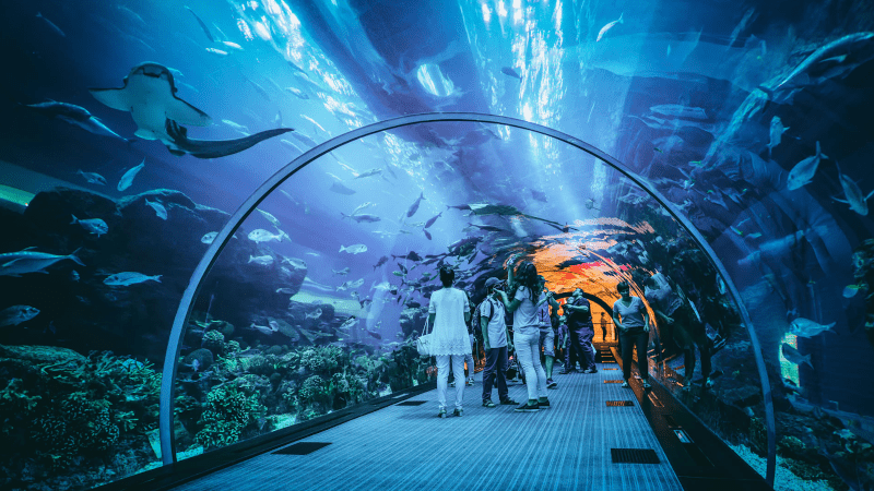 Dubai Aquarium