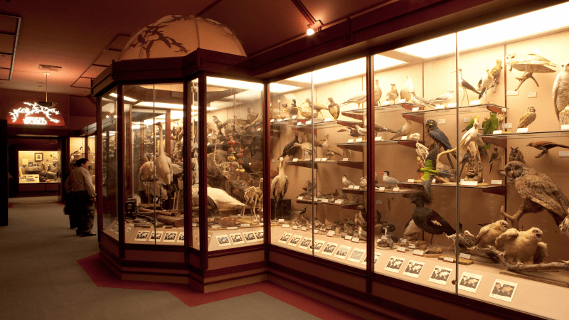 NHM of Los Angeles County