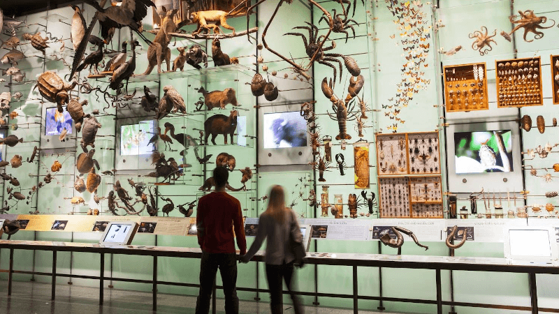 Natural History Museum of Los Angeles County