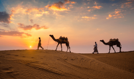 Rajasthan Tours on a Budget