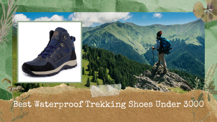 Best Waterproof Trekking Shoes Under 3000