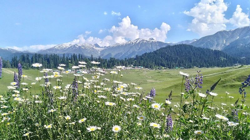 how to travel from Delhi to Gulmarg